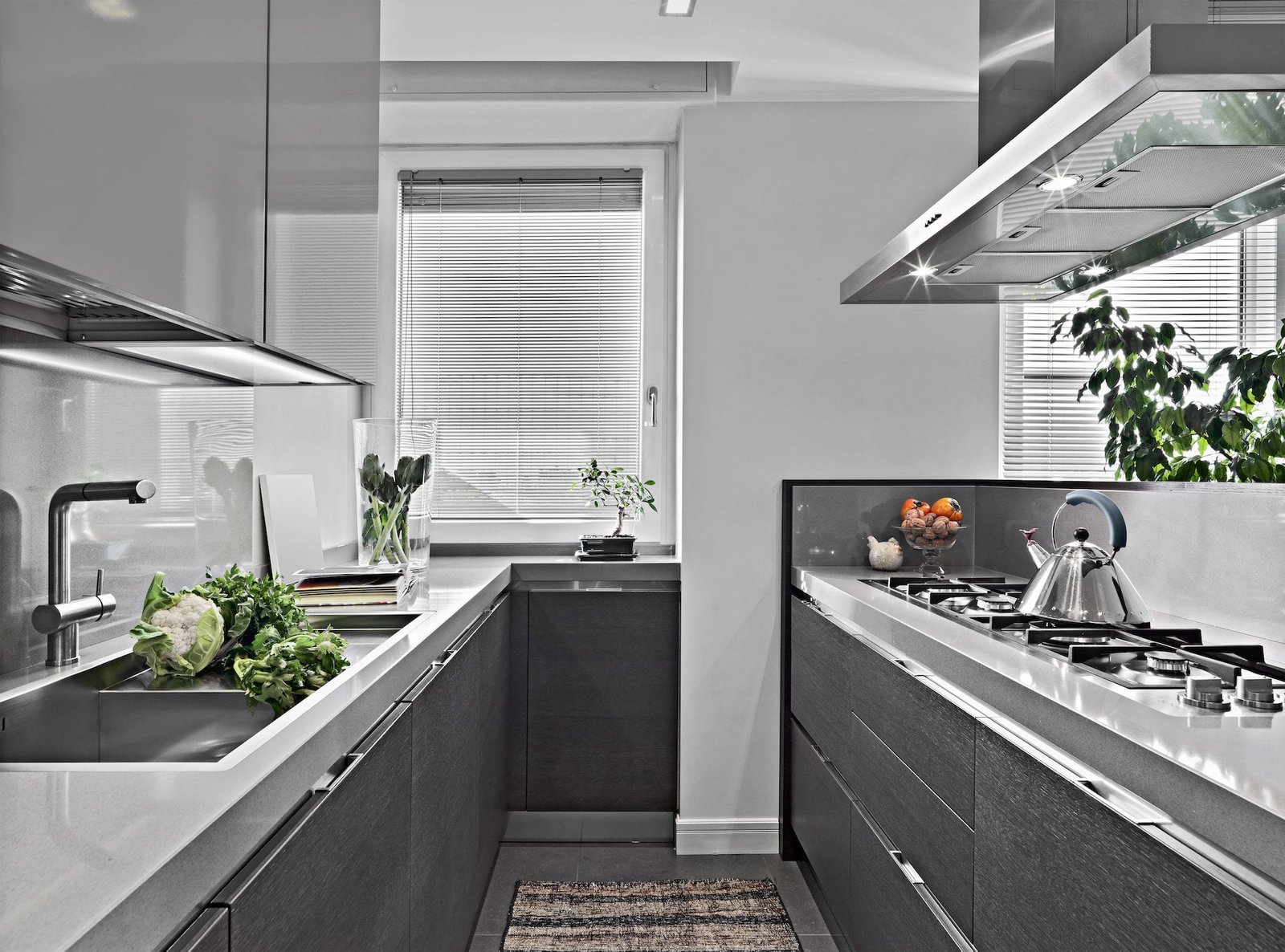 Modern Kitchen Interior with Island Kitchen